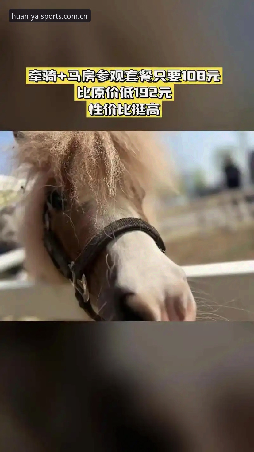 环亚体育最新版本5大实用升级：从下载到提现的操作指南